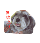 健二会長スタンプ（個別スタンプ：8）