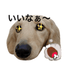 love＆cocoa（個別スタンプ：4）