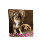 love＆cocoa（個別スタンプ：6）