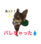 love＆cocoa（個別スタンプ：7）