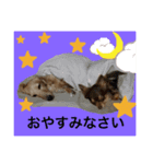 love＆cocoa（個別スタンプ：8）