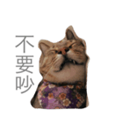 yong life（個別スタンプ：1）