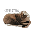 yong life（個別スタンプ：5）