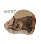 yong life（個別スタンプ：6）