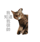 yong life（個別スタンプ：9）