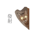 yong life（個別スタンプ：12）
