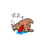 自由気ままな犬モン太（個別スタンプ：1）