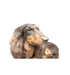 ☆友人の動物達☆（個別スタンプ：3）