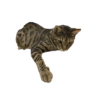 ☆友人の動物達☆（個別スタンプ：6）