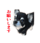 ☆友人の動物達☆（個別スタンプ：7）