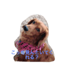 inunokimoti（個別スタンプ：2）