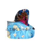 inunokimoti（個別スタンプ：5）