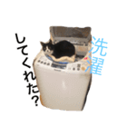 こてつ先輩の日常（個別スタンプ：12）