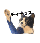 こてつ先輩の日常（個別スタンプ：16）