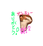 マスターグッチ（個別スタンプ：19）