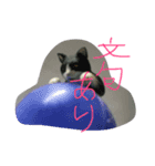 ボール＆マスコット（個別スタンプ：4）