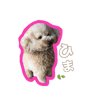 過保護のプーちゃん（個別スタンプ：5）