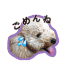 過保護のプーちゃん（個別スタンプ：7）