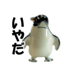 カフスボタンスターズ（個別スタンプ：4）
