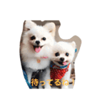 ペーターファミリー（個別スタンプ：13）
