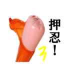 【実写】魚肉ソーセージ（個別スタンプ：10）