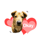 The Construction Dog（個別スタンプ：2）