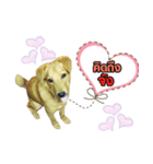 The Construction Dog（個別スタンプ：3）