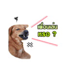 The Construction Dog（個別スタンプ：4）