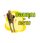 The Construction Dog（個別スタンプ：7）