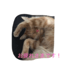 きなこ823  2（個別スタンプ：4）