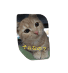 きなこ823  2（個別スタンプ：13）