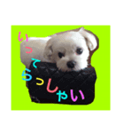 renaya（個別スタンプ：1）