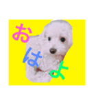 renaya（個別スタンプ：2）