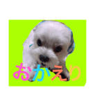 renaya（個別スタンプ：3）