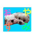 renaya（個別スタンプ：4）