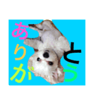 renaya（個別スタンプ：7）