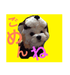 renaya（個別スタンプ：8）