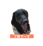 フラットな気分（個別スタンプ：2）