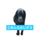フラットな気分（個別スタンプ：3）