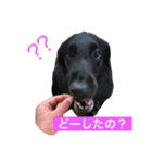 フラットな気分（個別スタンプ：4）