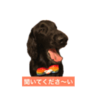 フラットな気分（個別スタンプ：5）