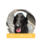 フラットな気分（個別スタンプ：9）