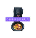 フラットな気分（個別スタンプ：10）