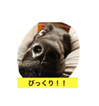 フラットな気分（個別スタンプ：11）