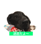 フラットな気分（個別スタンプ：12）