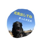 フラットな気分（個別スタンプ：13）