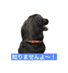 フラットな気分（個別スタンプ：16）