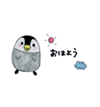 のほほんぺんぎん（個別スタンプ：1）