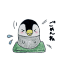 のほほんぺんぎん（個別スタンプ：7）