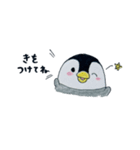 のほほんぺんぎん（個別スタンプ：12）